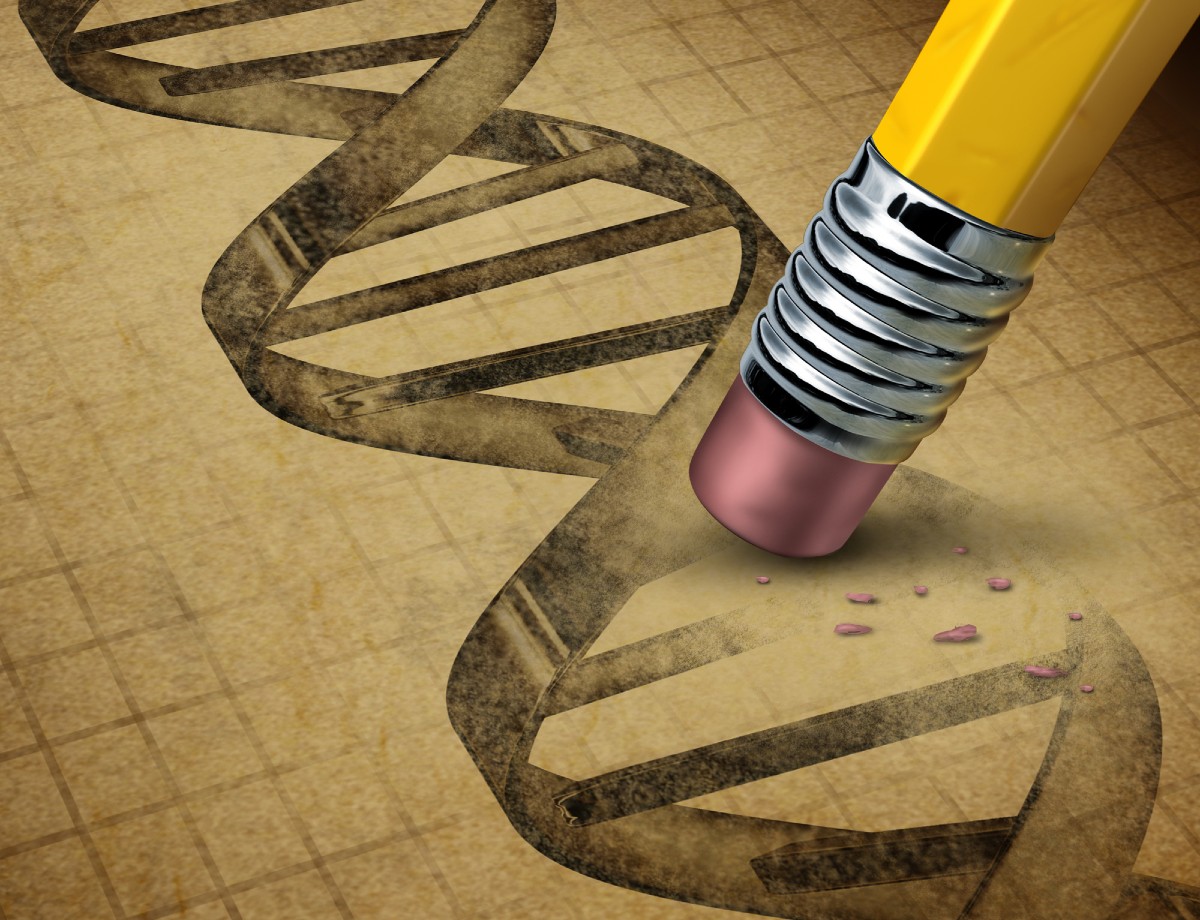 OGM 2.0: pronte 2 pdl per sdoganare il gene editing in Italia