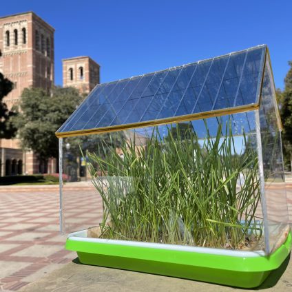 Rinnovabili • Tetti fotovoltaici semitrasparenti