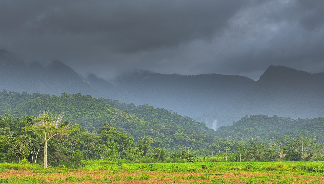 Foreste del Centro America: perderanno il 62% dei servizi ecosistemici al 2100