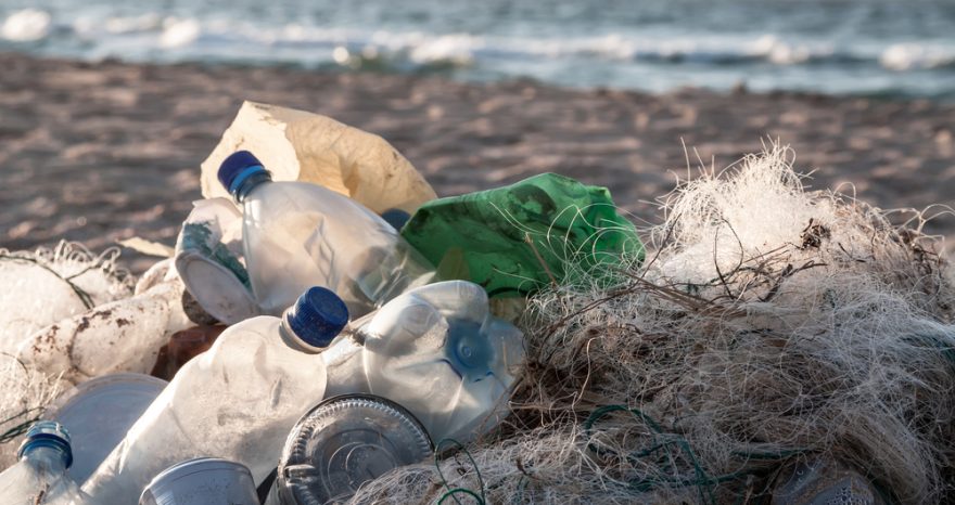 Rinnovabili •
