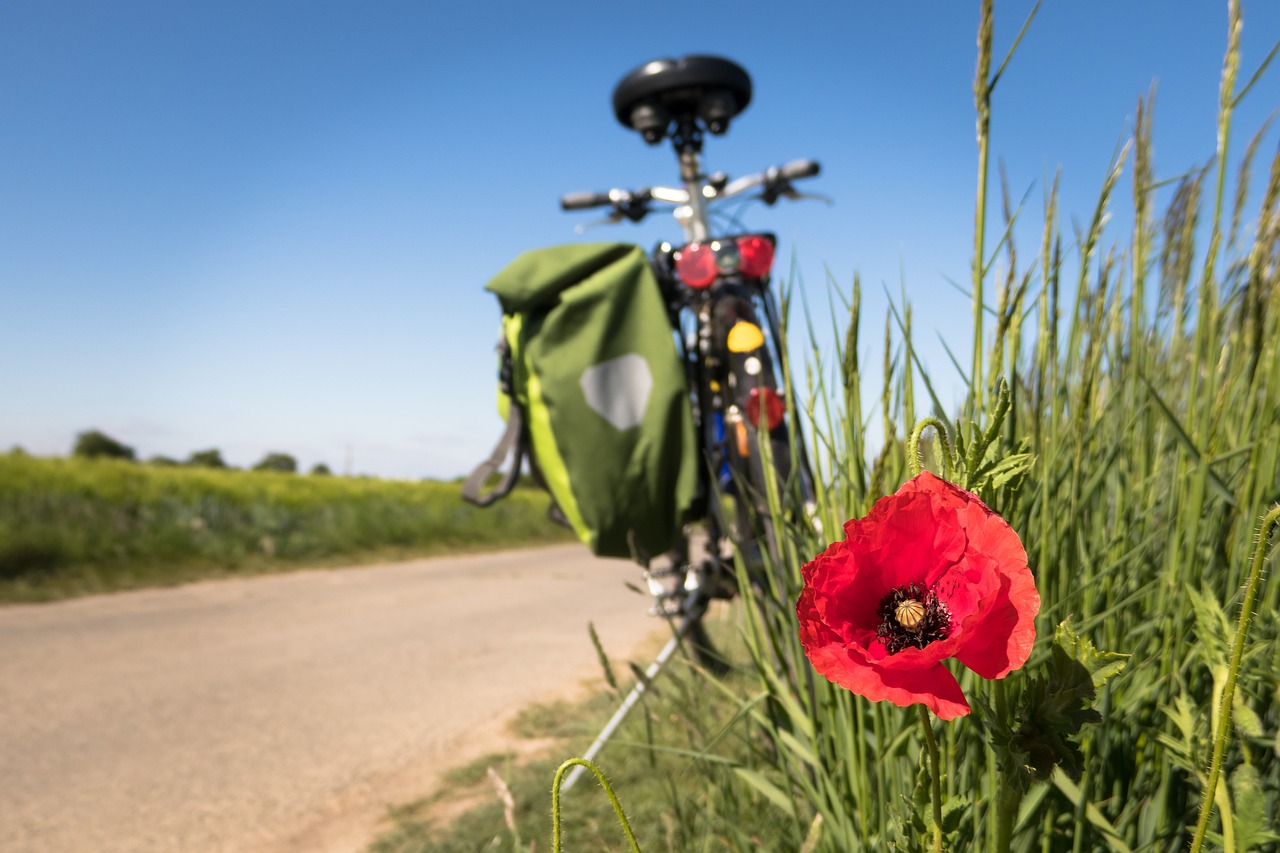 Turismo in bicicletta: l’Italia è un paese per le due ruote