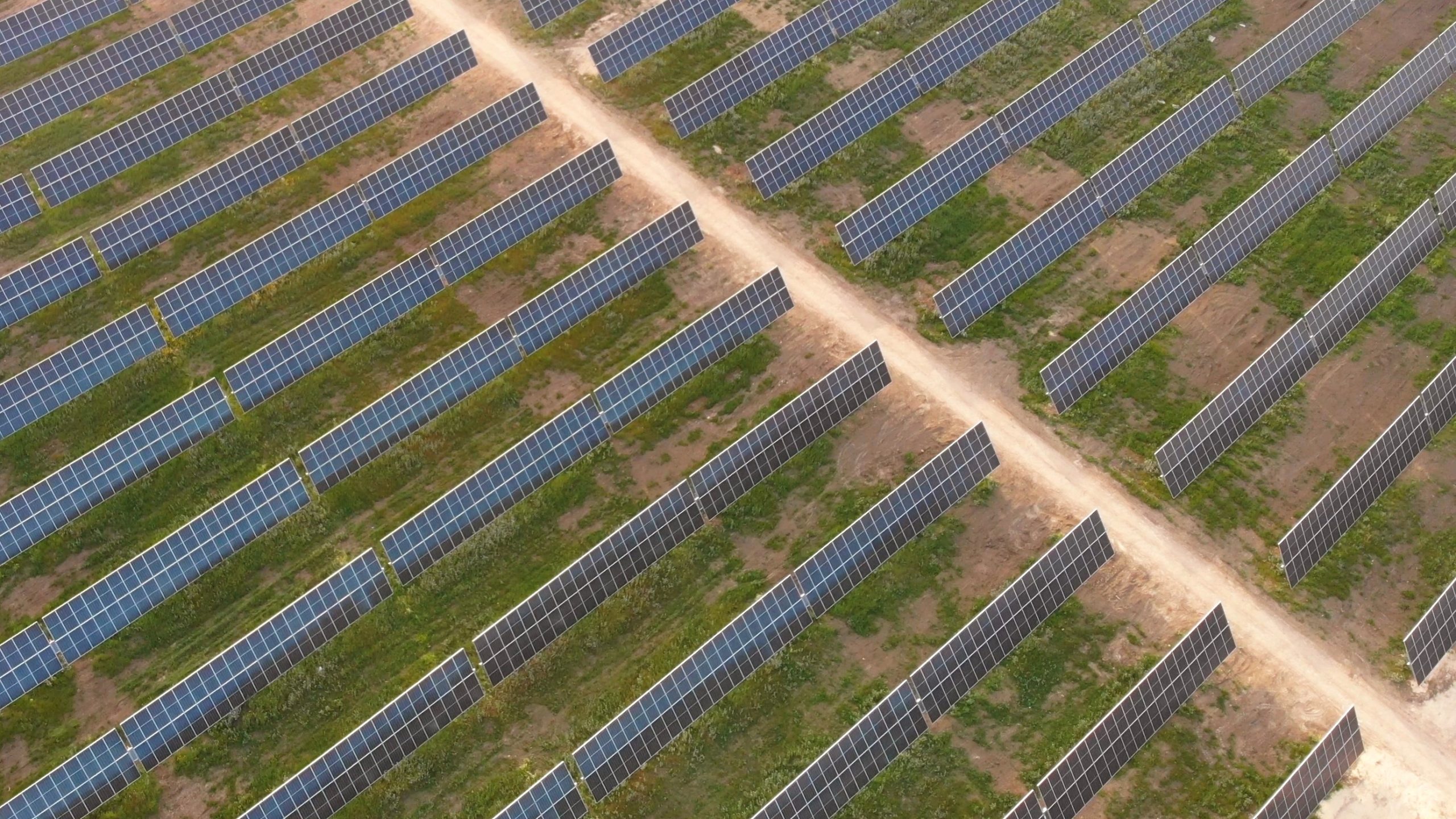 parco agrivoltaico più grande d’Italia