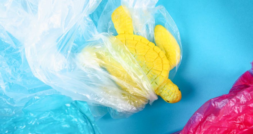 Rinnovabili • Plastics Treaty