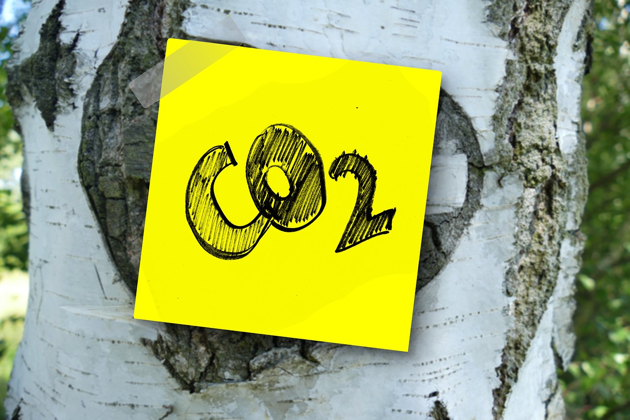 Disclosure climatica: 1600 grandi inquinatori nel mirino di CDP