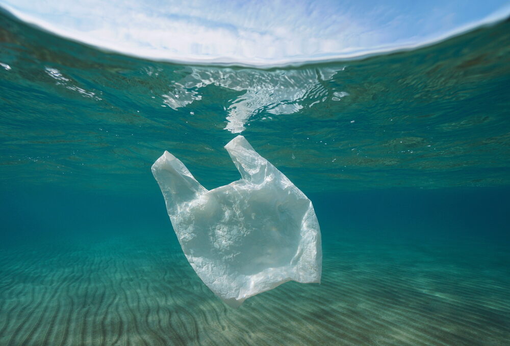 inquinamento da plastica
