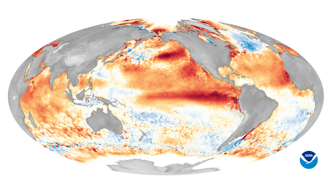 Ritorno di El Niño: presto nuovi record globali di caldo