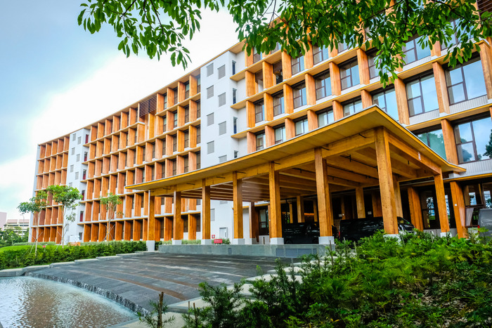 Rinnovabili • più grande edificio in legno