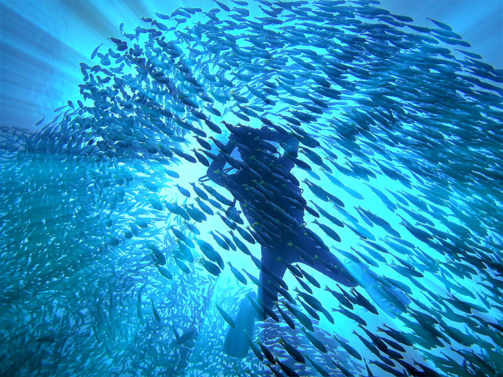 giornata mondiale degli oceani 2023