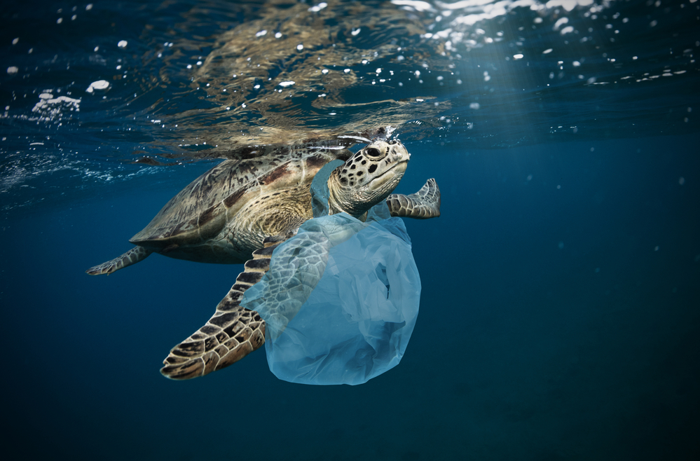plastica negli oceani