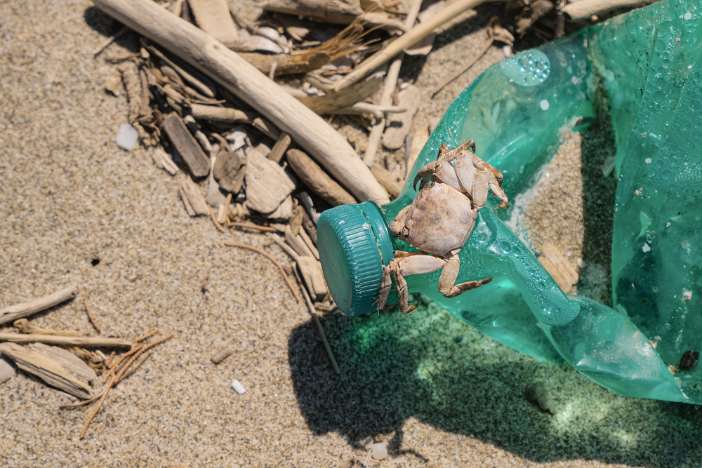 Trattato globale sulla plastica