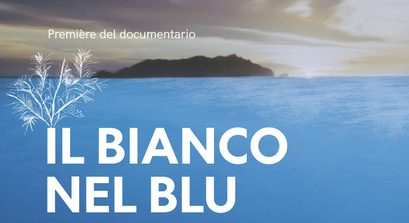 “Il Bianco nel Blu”