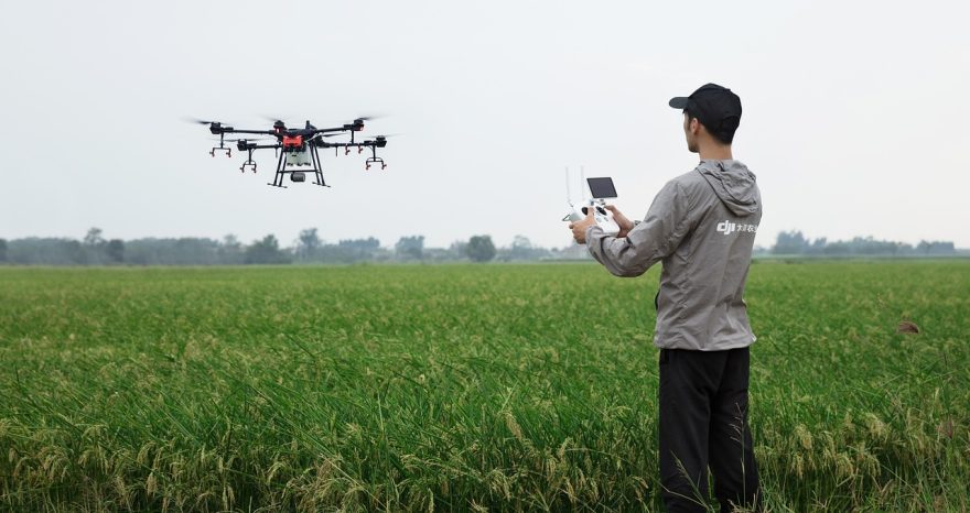 Rinnovabili • Agricoltura digitale