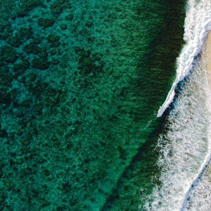 Rinnovabili • Oceani stanno cambiando colore: sempre più verdi