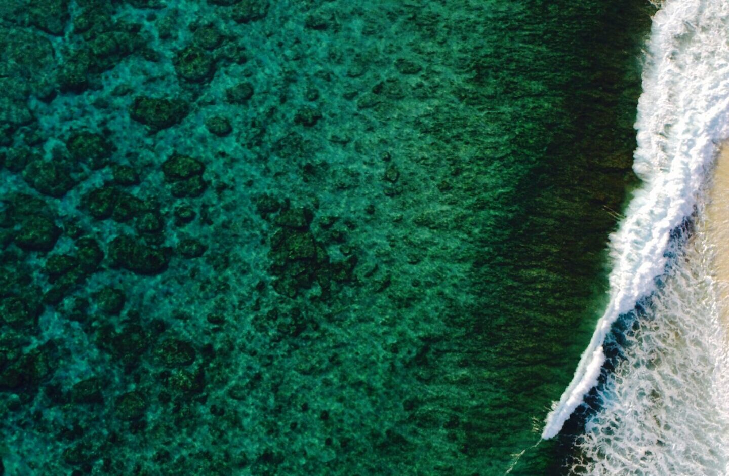 Oceani stanno cambiando colore: sempre più verdi
