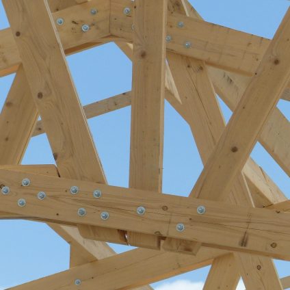 Rinnovabili • Legno in edilizia