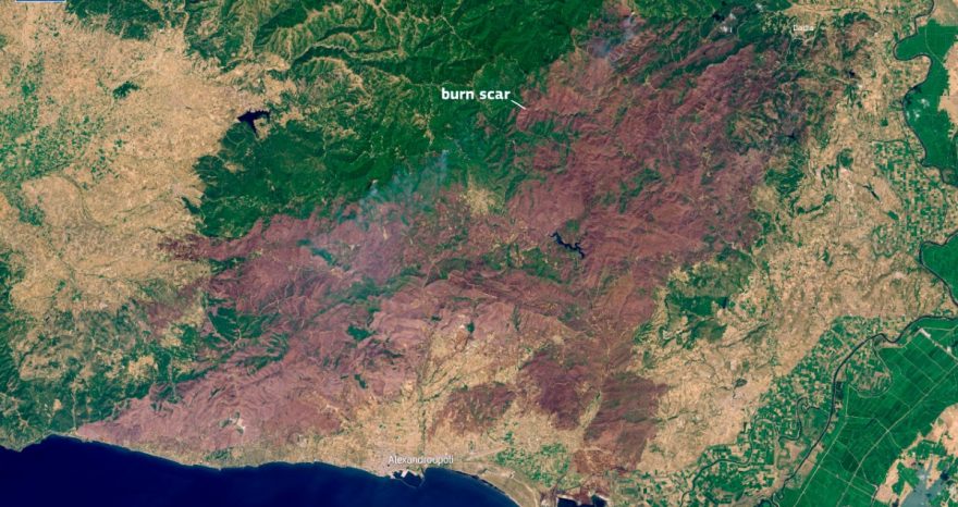 Rinnovabili • Incendio più grande d’Europa: in Grecia il rogo distrugge 810 km2