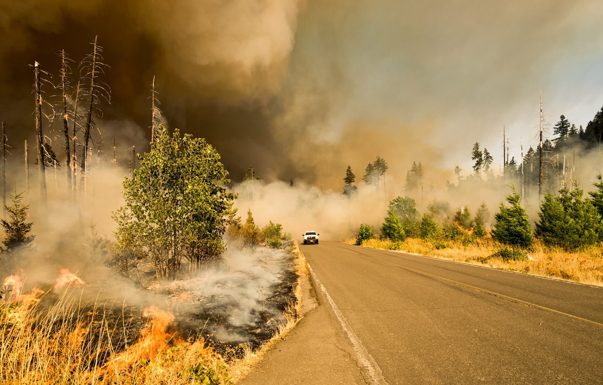 relazioni tra incendi e cambiamento climatico