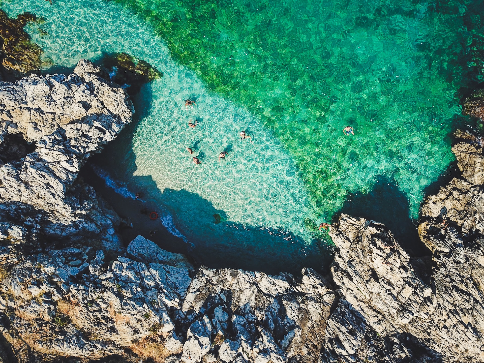 Stato dei mari italiani: bene i coralli, Posidonia sotto stress