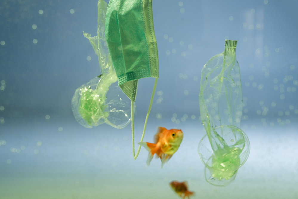 bioplastiche in mare