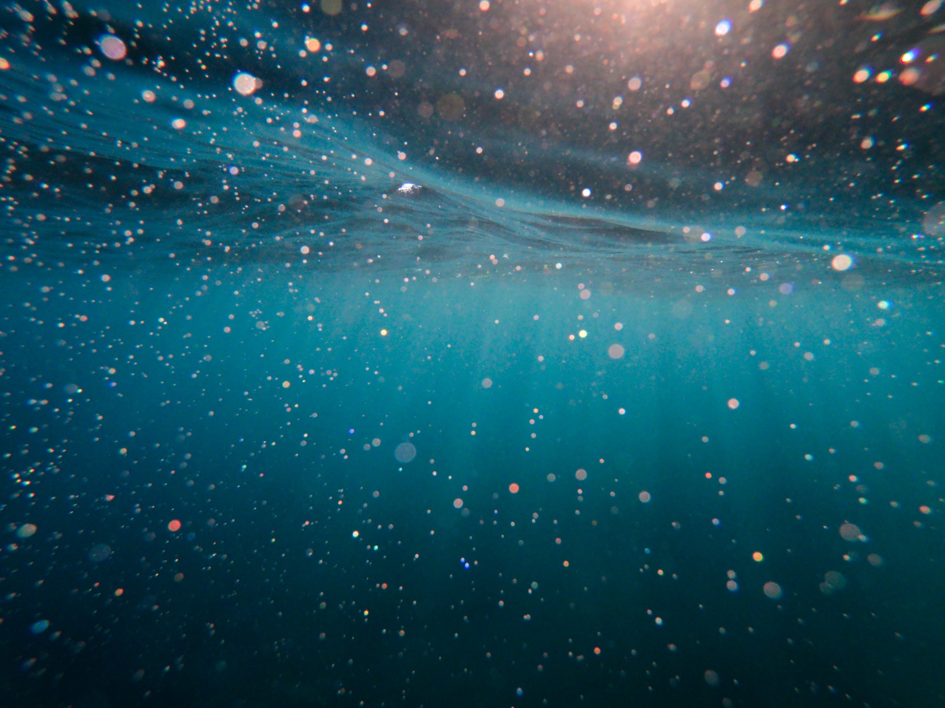 Perdita di habitat oceani: sforare 2°C è una condanna che dura secoli