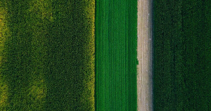 Rinnovabili • Politiche su clima e ambiente: l’UE le “dimentica” per tutto il 2024