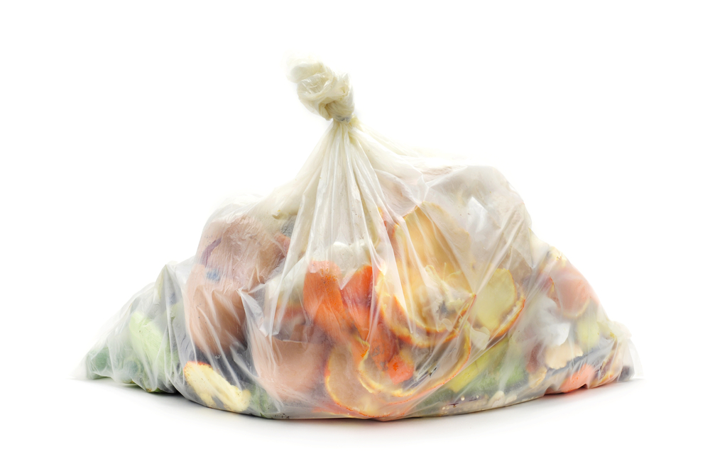 sacchetti per l'umido