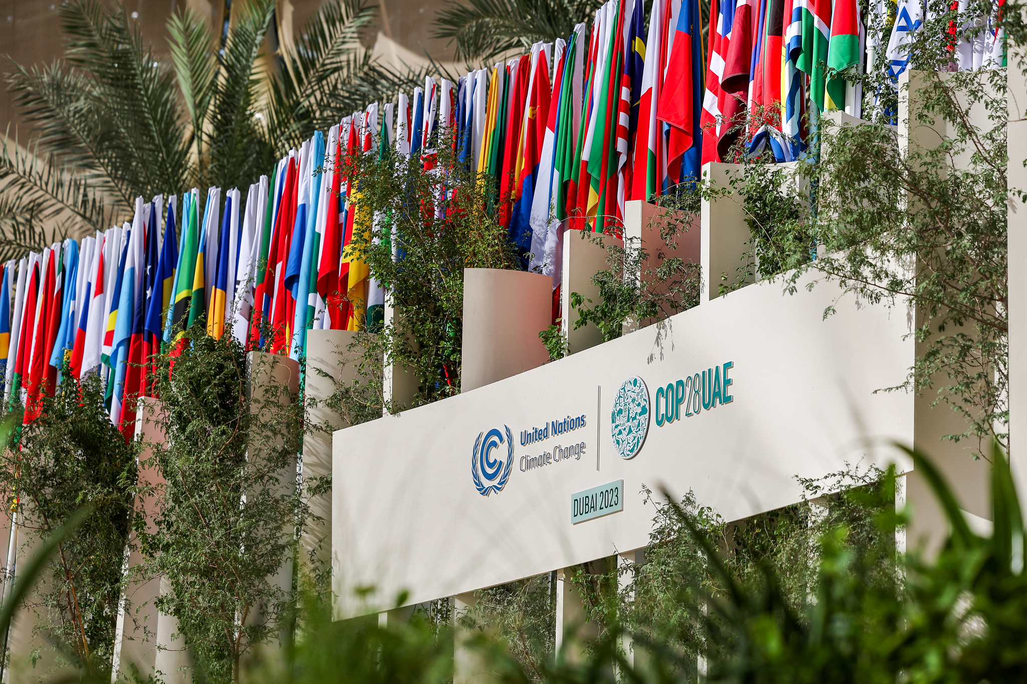 Conferenza sul clima Cop28: al via il vertice globale di Dubai