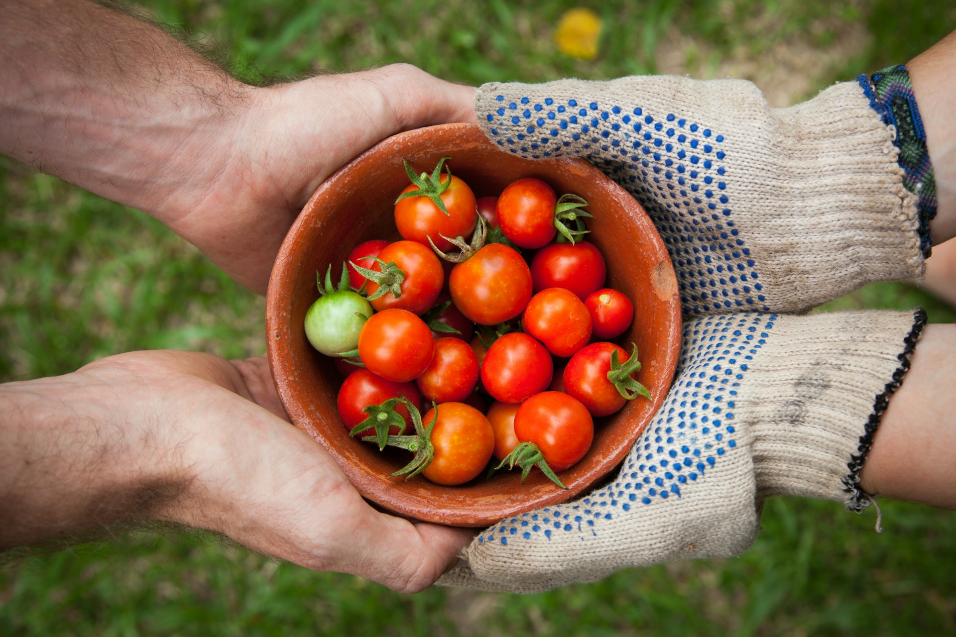 Rintracciabilità alimentare