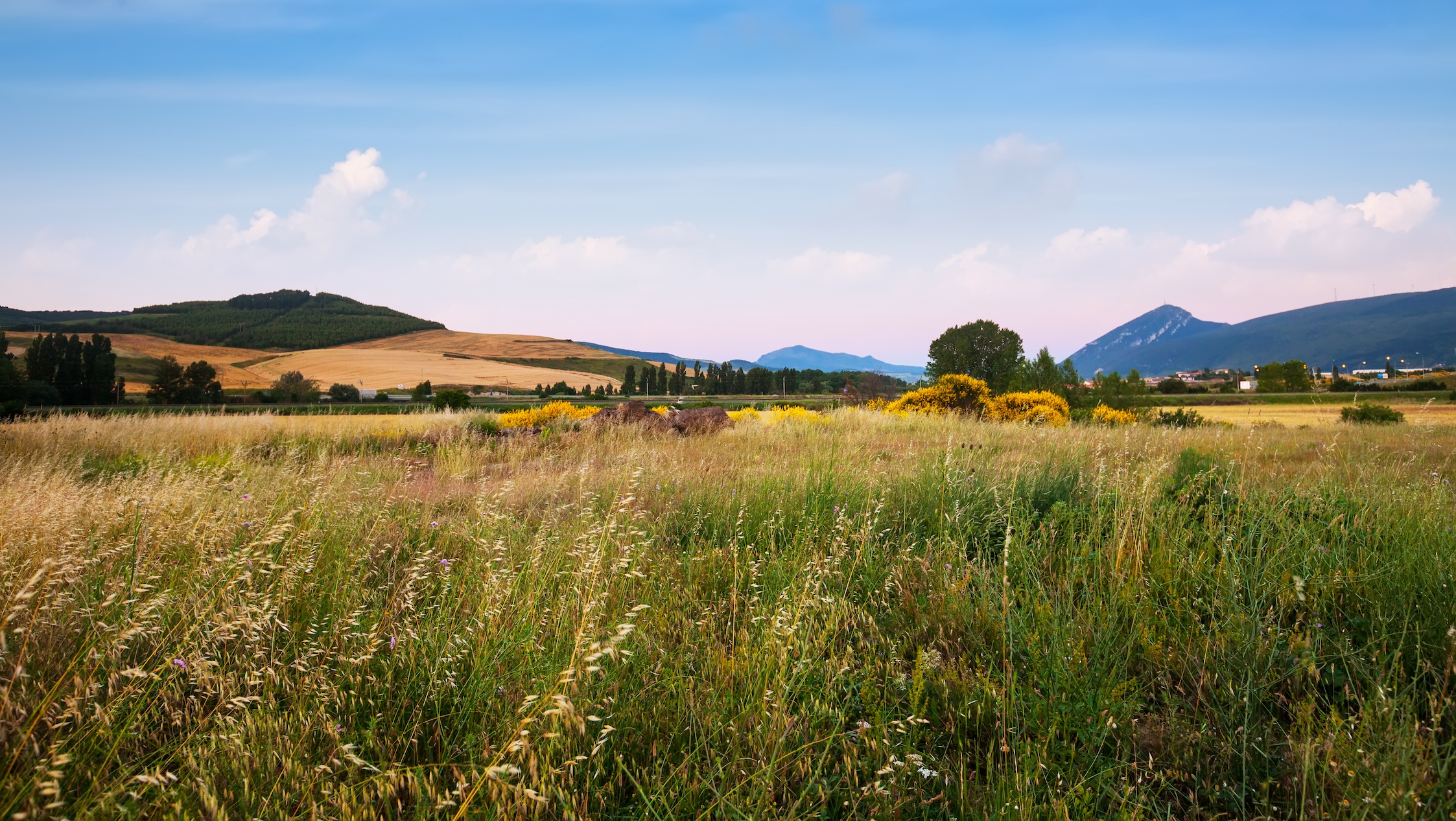 agroecologia circolare