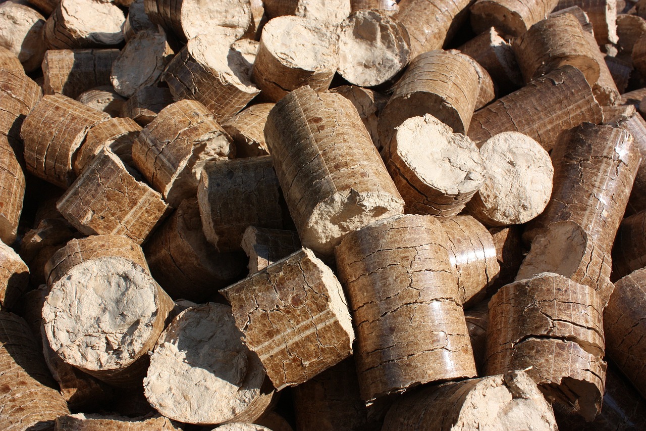 Biomassa legnosa