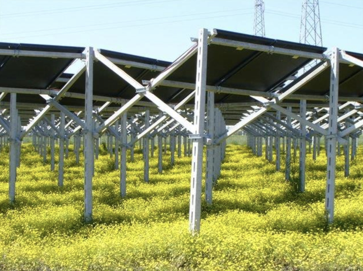 Decreto Agrivoltaico Innovativo