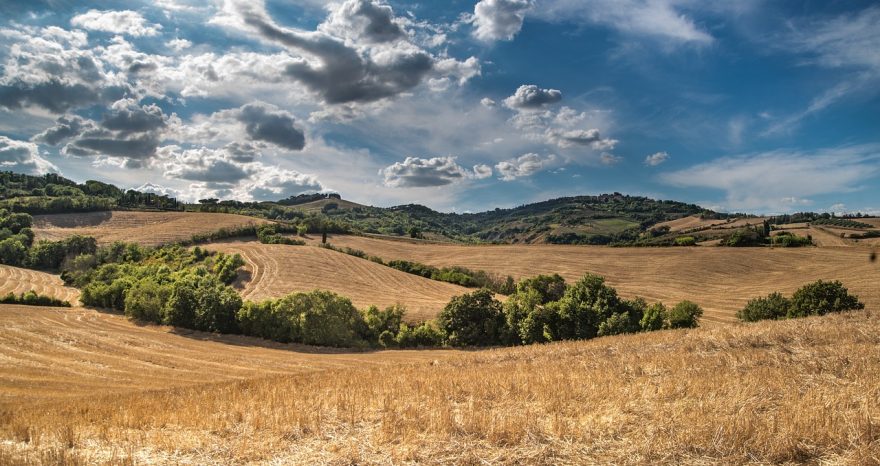 Rinnovabili •