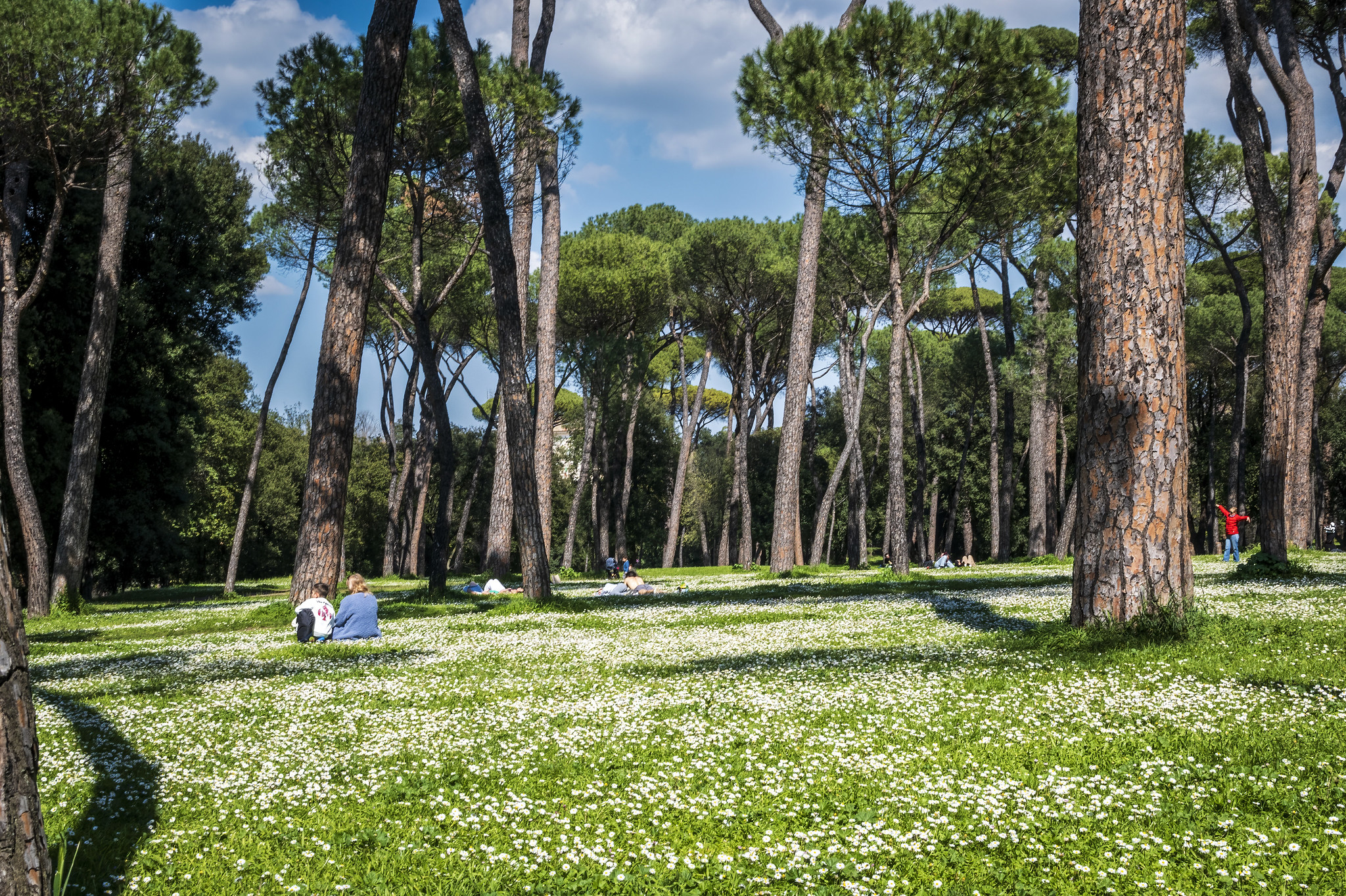 Legge sul verde urbano: ASviS, serve nuova “cultura della natura in città”