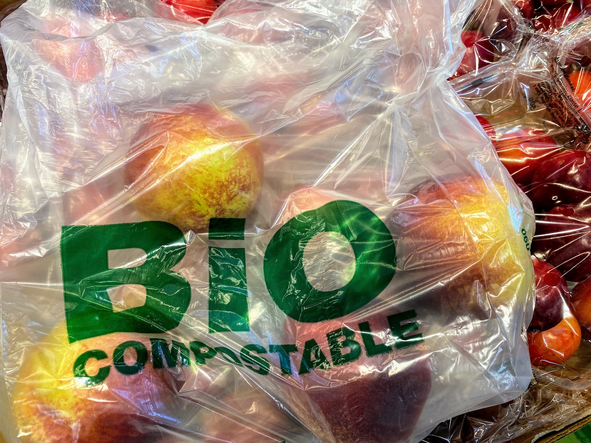 bioplastiche compostabili