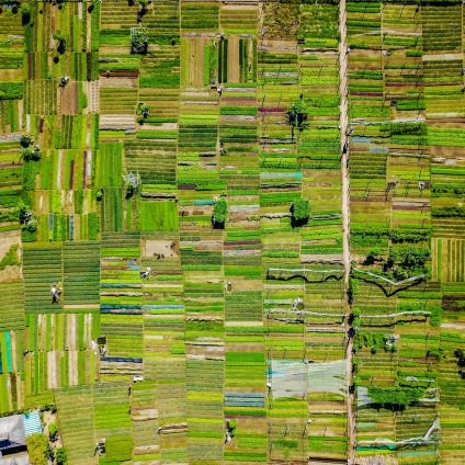 Rinnovabili • Emissioni agricole UE: Bruxelles vuole un prezzo del carbonio agricolo