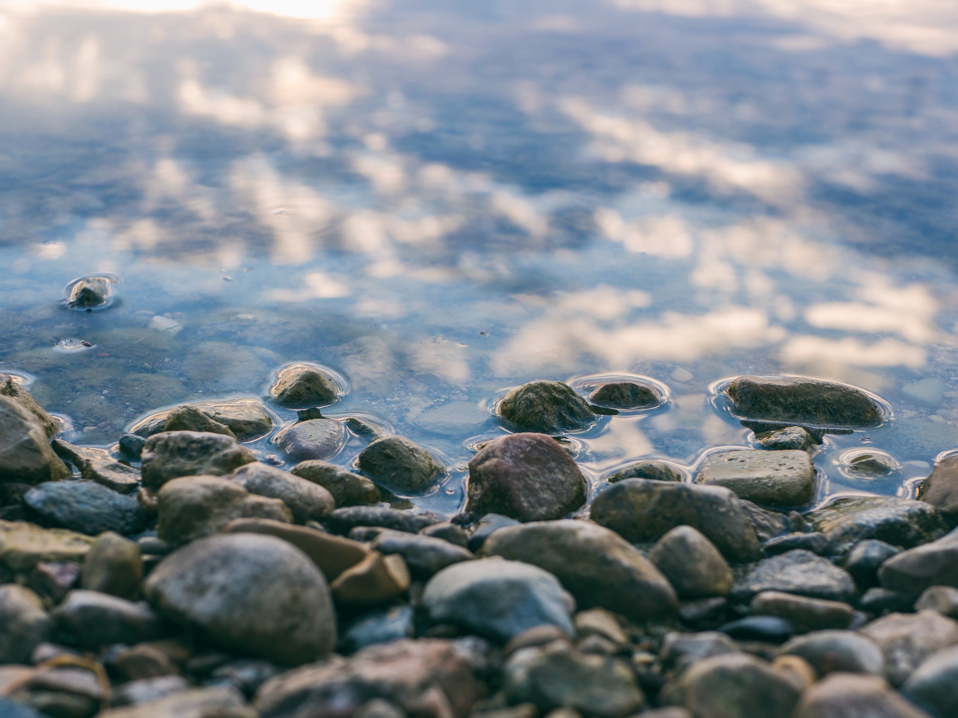 rimuovere microinquinanti dall'acqua