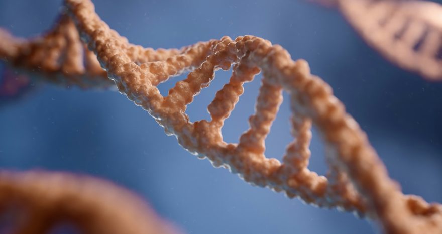 Rinnovabili • Nuove tecniche genomiche: ok del PE agli OGM 2.0