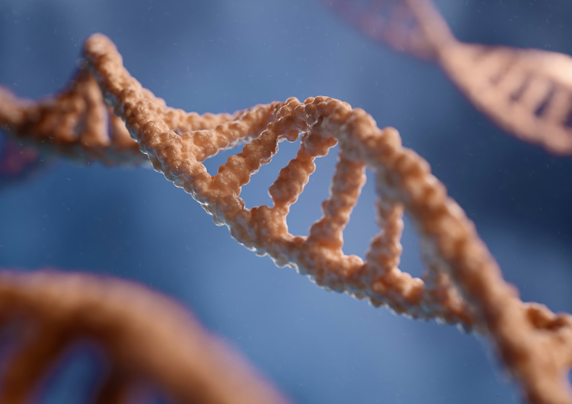 Nuove tecniche genomiche: ok del PE agli OGM 2.0