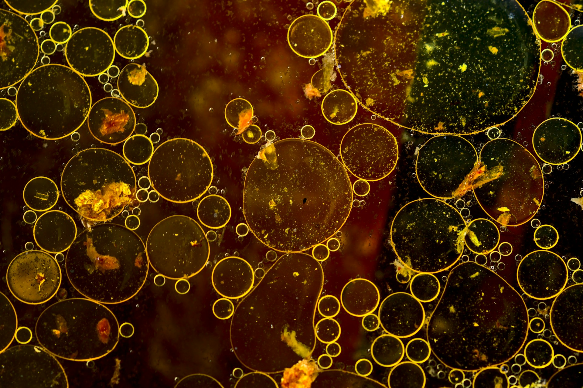 recupero di metalli preziosi dalle acque reflue