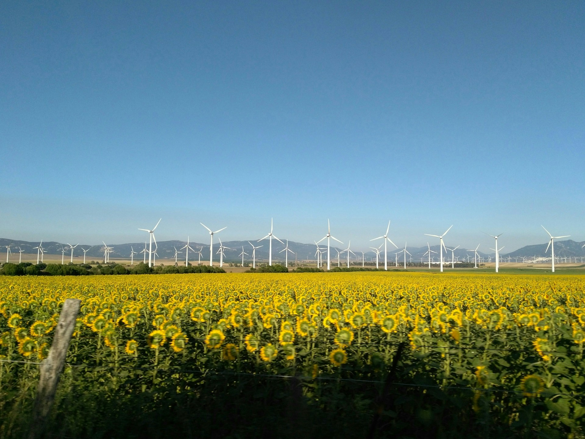 Rinnovabili elettriche UE: nel 2023, eolico supera gas fossile per la 1° volta