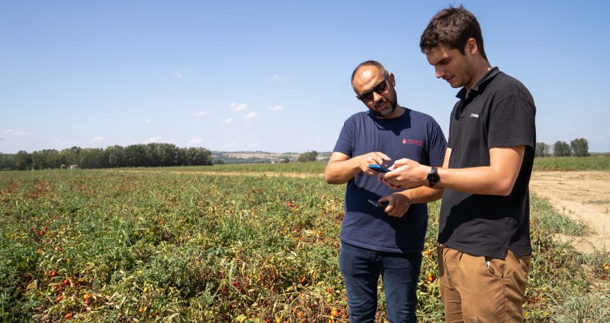 Rinnovabili • filiere agroalimentari