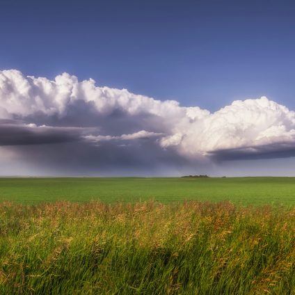 Rinnovabili • Costi disastri climatici: potrebbero raddoppiare entro 10 anni