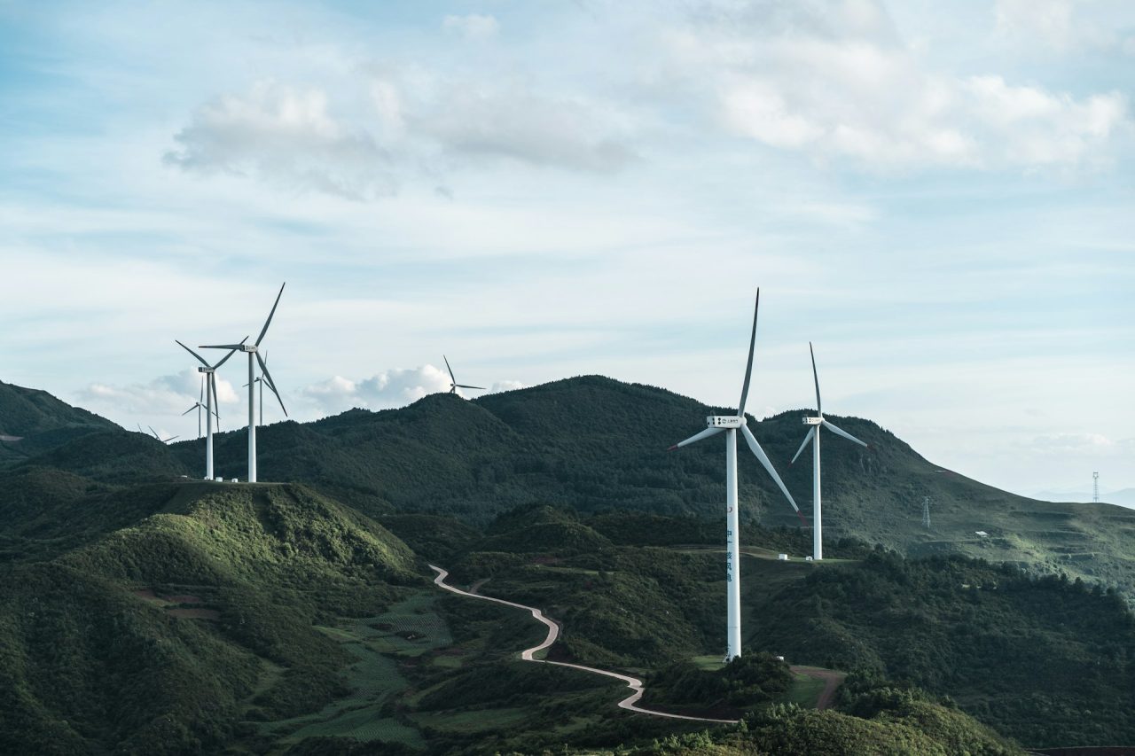 capacità rinnovabile