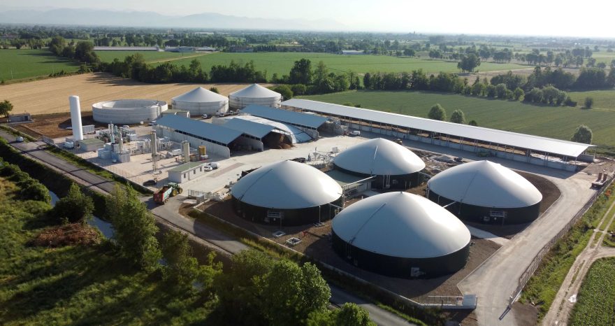 Rinnovabili • Verdalia Bionergy