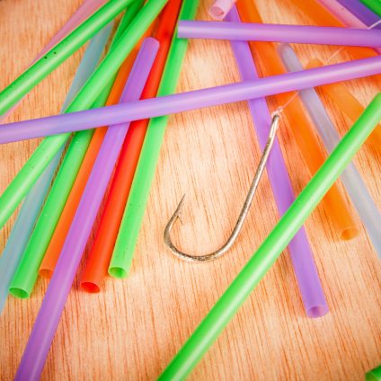 Rinnovabili • Plastica monouso: Italia verso procedura d’infrazione UE