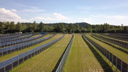 Rinnovabili • Bandi Agrivoltaico