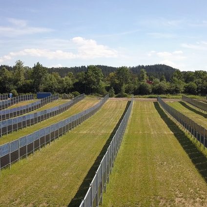 Rinnovabili • Bandi Agrivoltaico