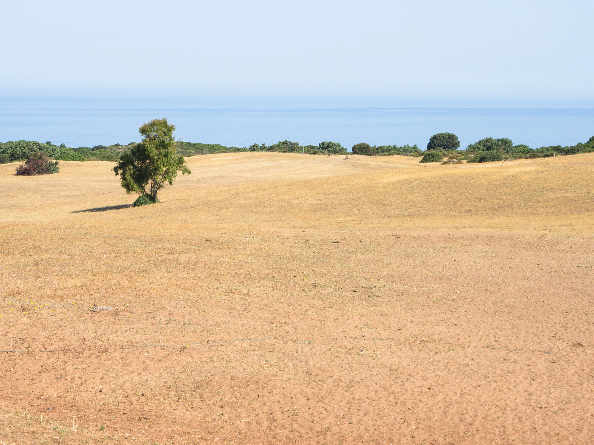 Giornata mondiale contro desertificazione siccità 2024: 18% dell’Italia a rischio