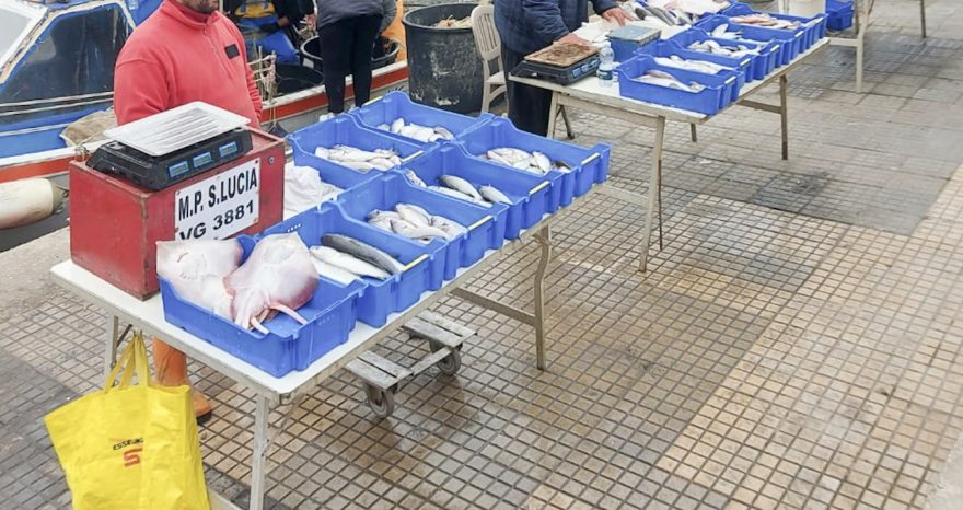 Rinnovabili • I pescatori di Viareggio hanno aderito al progetto 