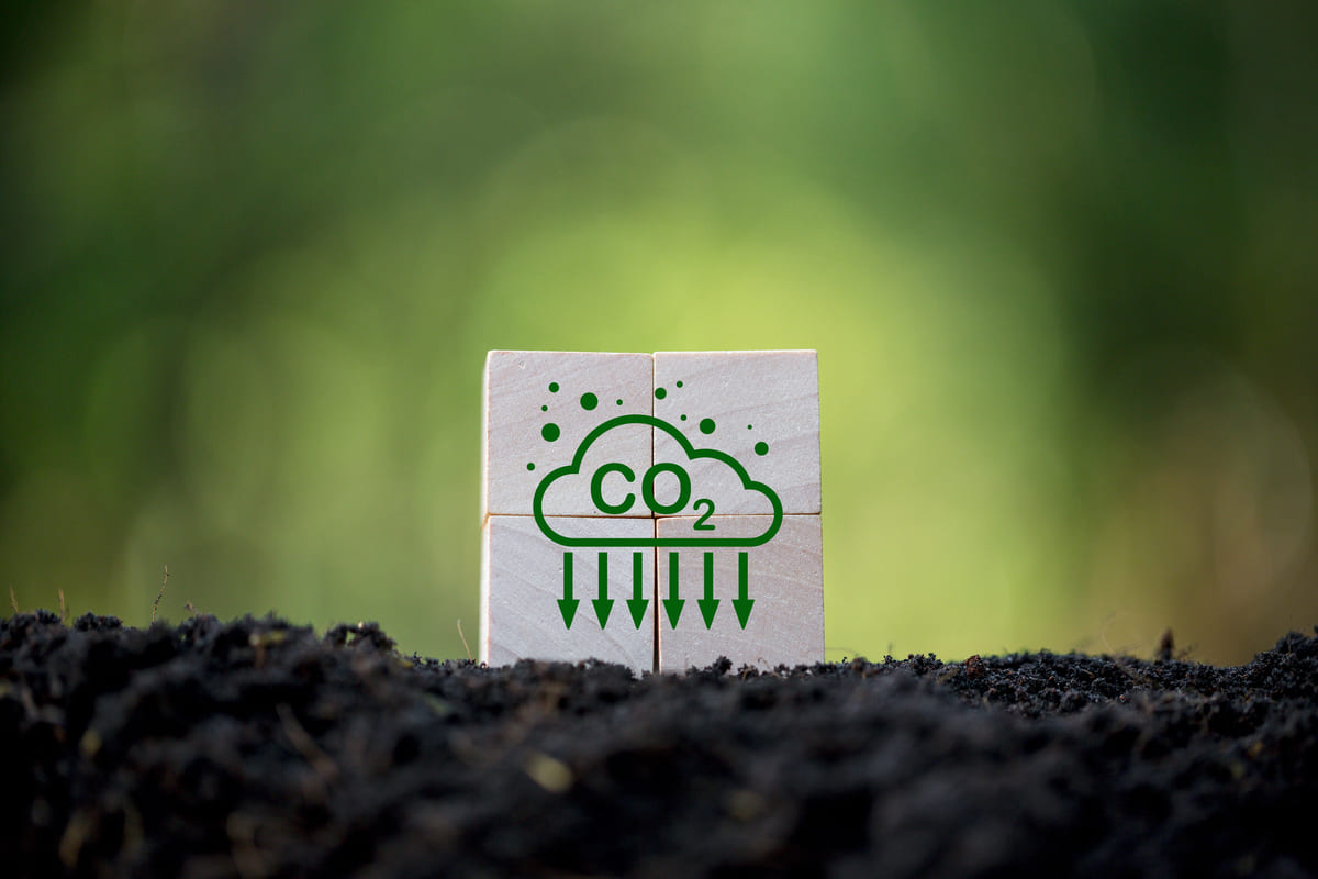 Compensazioni carbonio: SBTi dice no ai carbon offset